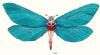 "Glitterfly17"