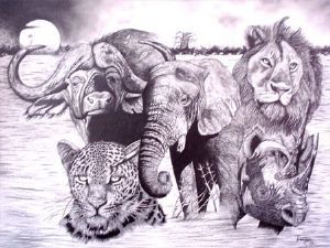 "Big Five of Africa II"