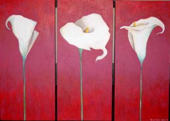 "arum lilies"