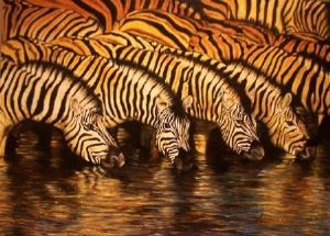 "Zebras at Waterhole"
