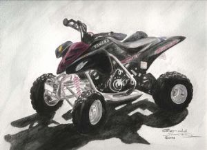 "Chris Quad Bike"