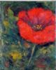 "Red Poppy 1 of 2"