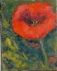 "Red Poppy 2 of 2"