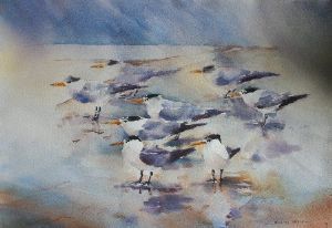 "Terns on the Lagoon"