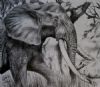 "African Elephant"