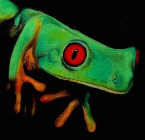 "Green Frog"