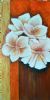 "White Flowers"