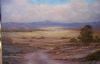 "Karoo Landscape"