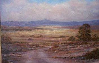 "Karoo Landscape"