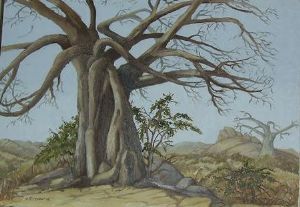 "Baobab valley"