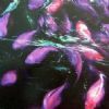 "Potsdam Koi2"
