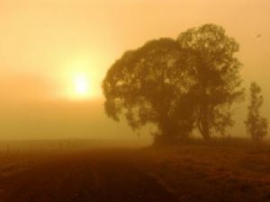 "Sunrise in Mpumalanga"