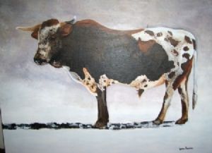 "Swazi Bull"