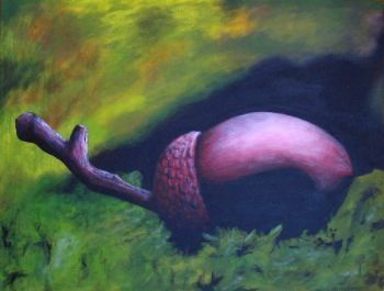 "Acorn"