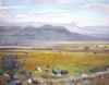 "Open Plains"