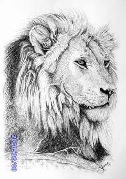 "Lion"