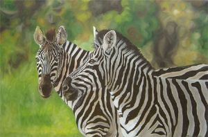 "Zebra 05"