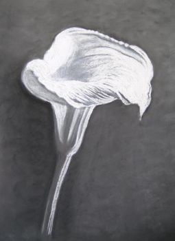 "Lily"