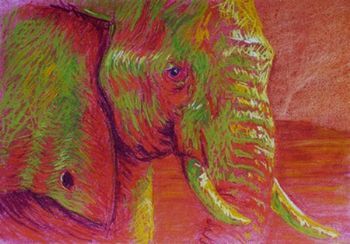 "Gentle Giant of Pilanesberg"