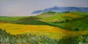 "Canola Fields"