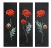 "Red Poppies"