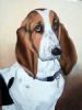 "Bailey - Basset puppy"