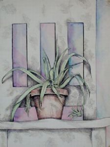 "Still Life 1"