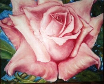 "Pink Rose"