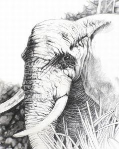 "Ellie Among the Ilala Palms"