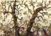 "The oak trees"