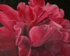 "Hibiscus"
