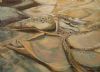 "Shallow pools"