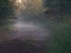 "After the Rain"