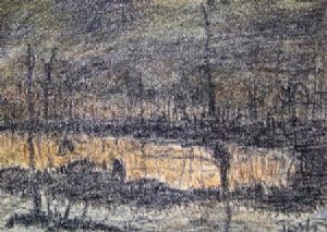 "Dark Forest"