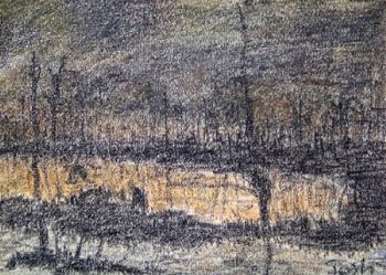 "Dark Forest"
