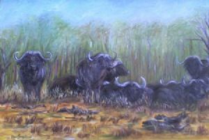 "Buffalo Herd"