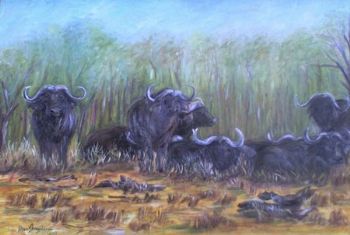 "Buffalo Herd"