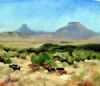 "Cows in the Karoo"