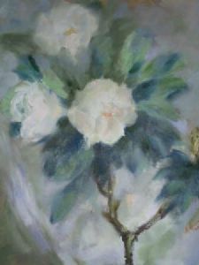 "Volmoed Magnolias"