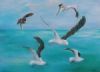 "seagulls 2"