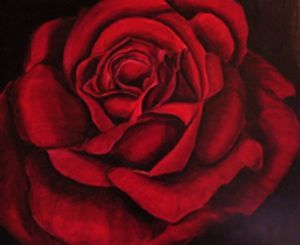 "Red Rose"