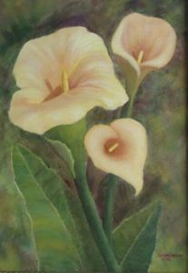 "Arum Lilies"