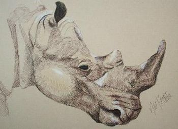 "Rhinoceros"