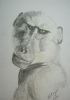 "Baboon 2"