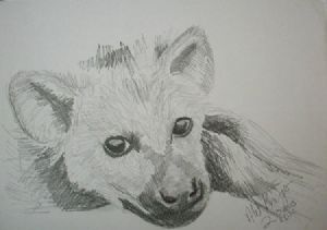 "Brown Hyena Cub"