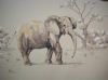 "Baby Elephant"