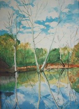 "Reflections"