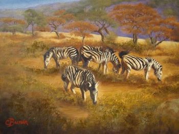 "Last Graze of the Day"