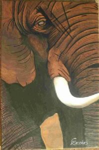 "Elephant"