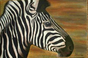 "Zebra"